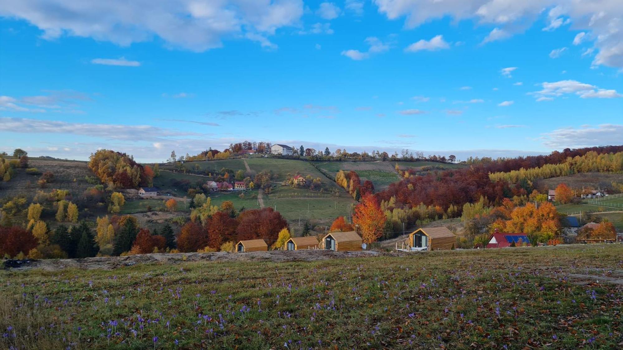 My Little Village Poiana Mărului Extérieur photo