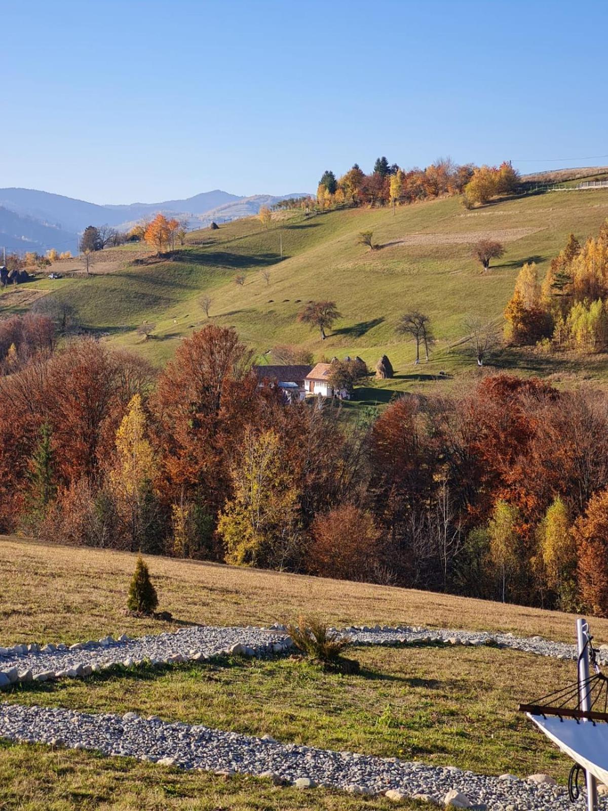 My Little Village Poiana Mărului Extérieur photo