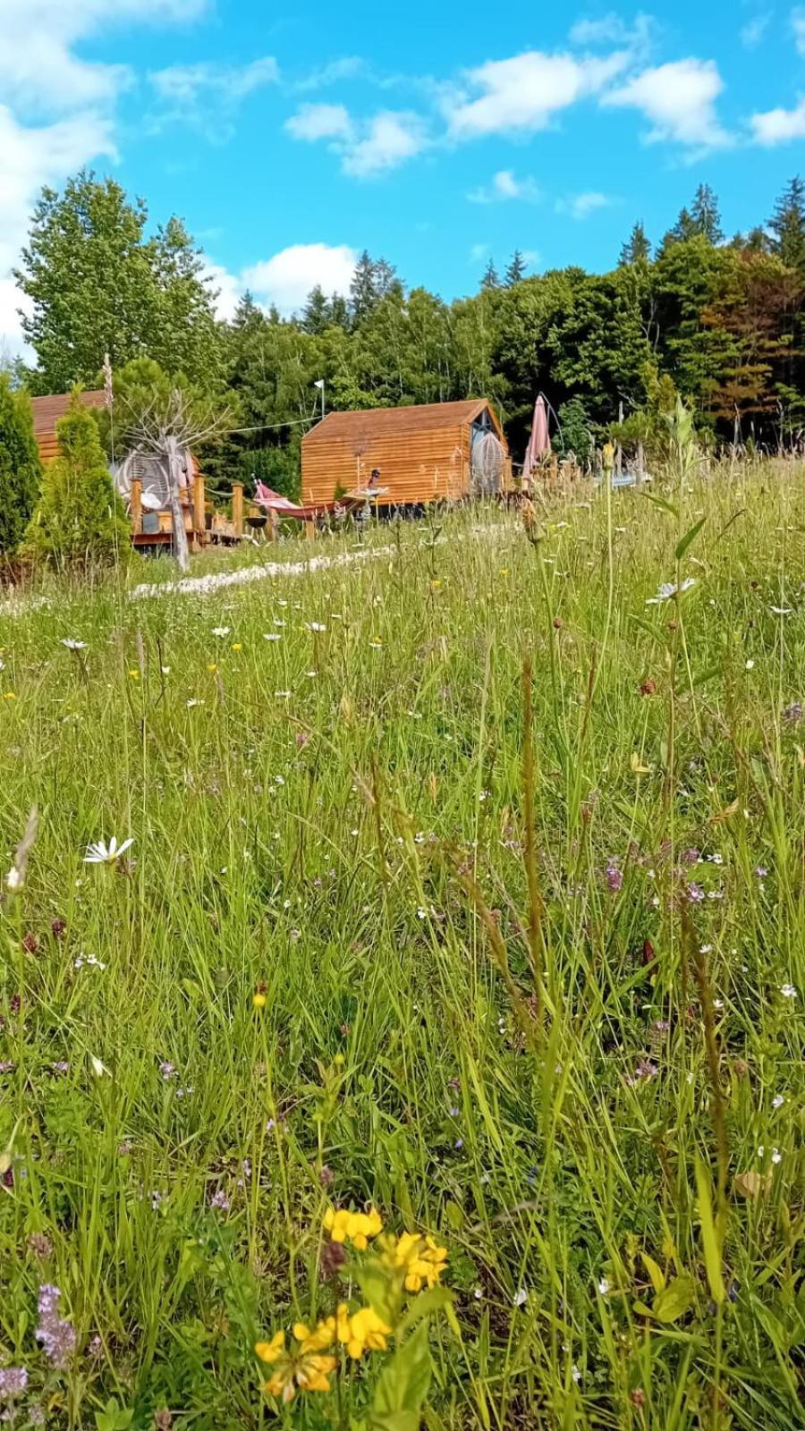 My Little Village Poiana Mărului Extérieur photo