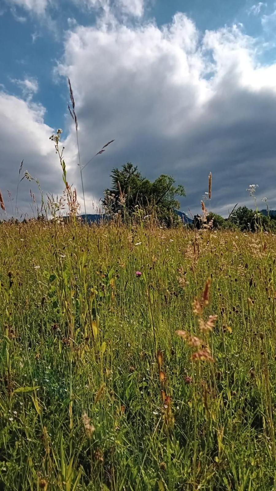 My Little Village Poiana Mărului Extérieur photo